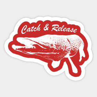 Catch and Release Series, Pike, White color Sticker